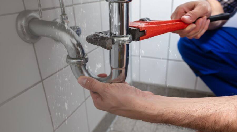 Professional Leak Detection services in Lakeview, TX